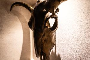 Neko Boutique Hotel img46