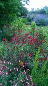 B&B / Chambres d'hotes B&B La Ferme Aux Fleurs : photos des chambres