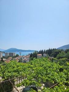 Apartments Božović