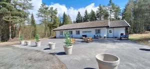 Telemark Motel and Apartment - Hauggrend