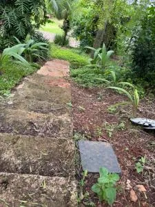 Chácara isabela - Torto