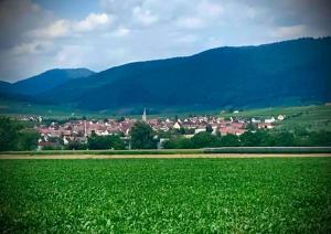 Appartements Cocoon Clair de Lune sous les combles PARKING GRATUIT : photos des chambres