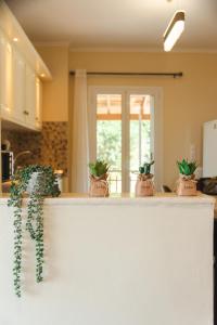 Sea and Mountain House II