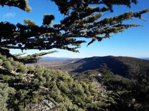 B&B / Chambres d'hotes Chateau d Artigues en Provence : photos des chambres