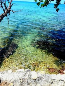 treehouse above the beach