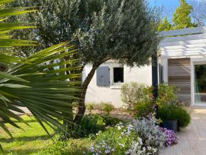 B&B / Chambres d'hotes la maison de Lison : photos des chambres