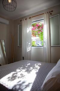 Casa da Bugainvillea