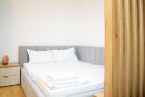 National Arena Mega Mall Mirina Studio