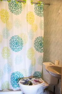 Agroturystyka Letnisko - Celina