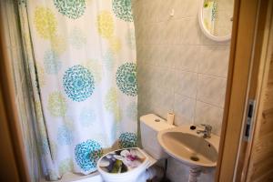 Agroturystyka Letnisko - Celina