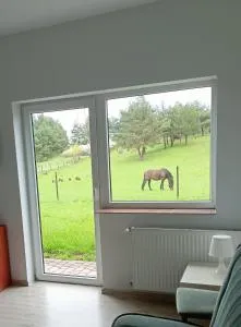 Pokoje gościnne Trąbki Małe k.Gdańska - Warcz