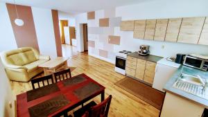 One-Bedroom Apartment room in Penzion Katka