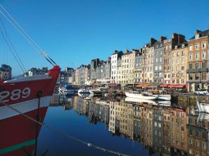 Appartements Bienvenue chez vous : photos des chambres