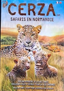 Appartements Bienvenue chez vous : photos des chambres