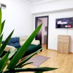 The Adventure - 2Steps2 Old Town & Metro