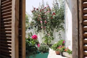Appartements Belle location Spa et grande terrasse prives : photos des chambres