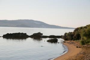 Villa - Beach Front