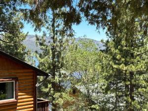 NEW 3 Cubs Cabin + Close to the Village & Lake