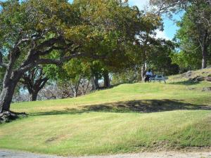 Stay Awhile Studio Apartment - Live Like A Local