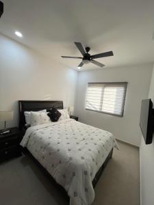 Oceanview Condo Rooftop pool