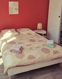 Appartement centre dOrléans en bord de Loire