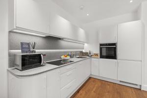 Springfield Fourteen