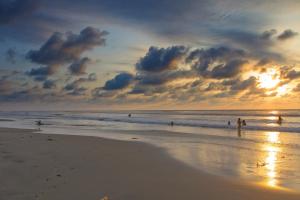 Casa Palmeras Isla Portete