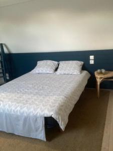 Appartements Le Nid - Maison accueillante avec acces donnant sur le Cher : photos des chambres