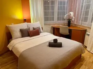 Large, luxury condo with sauna - Mostiska