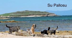 La casa storica img30