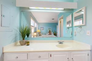 Sea Colony --- 39286 Timberlake #7601