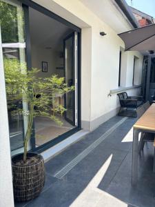 Appartements Maison d architecte avec spa : photos des chambres