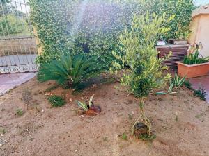 Trillibiu beach house img23