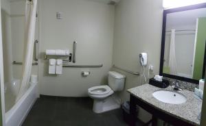 Queen Room  - Disability Access/Non-Smoking room in Cresthaven Inn JFK