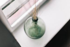 Appartements Appartement boheme et cosy au coeur de Lille : Appartement 1 Chambre