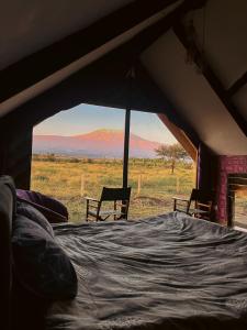 Amboseli Glass Cabin