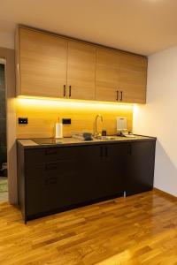Aveny Lux Apartment