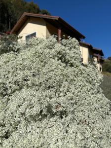 Pousada Pedra Grande