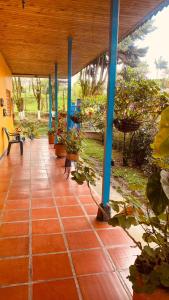 Hospedaje Campestre Araucarias