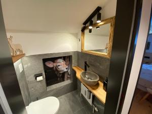 Chalet Alpine Royal A Top14