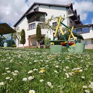 Pensiunea Tabacaru - 佩什泰拉