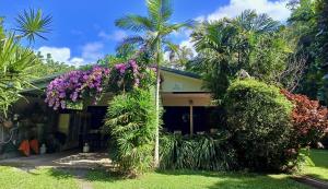 Thornton Beach Bungalows Daintree