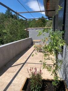 B&B / Chambres d'hotes L'Auberge du Ranc : Chambre Double - Vue sur Piscine