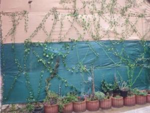 Gite 2 chambres avec cours