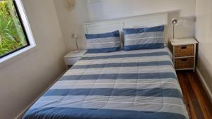 moana - Family Appeal With Wifi