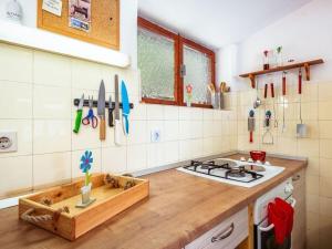 Mesmerising apartment in Klek