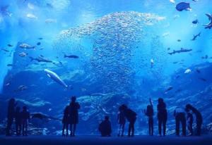 Asian Hotel CYALA - Adult Only