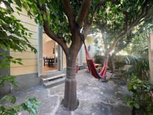 Les Orangers - 3 Pièces avec terrasse arborée