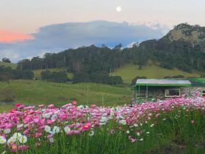 Mountain View Tilba Tilba - Glamping