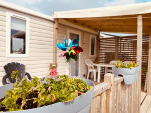 Campings Mobilhome P27 6 personnes climatise : photos des chambres